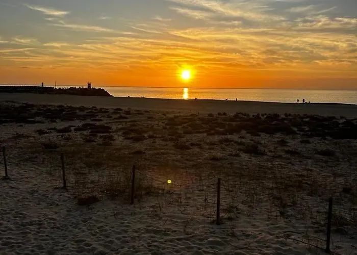 Casa Carvalho Laranjo Apartment